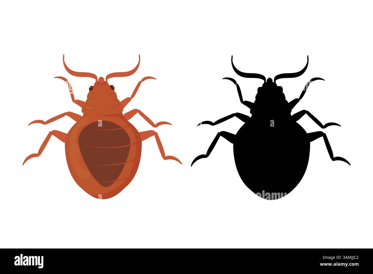 Bed Bug and Silhouette of Bedbug. Stock Vector