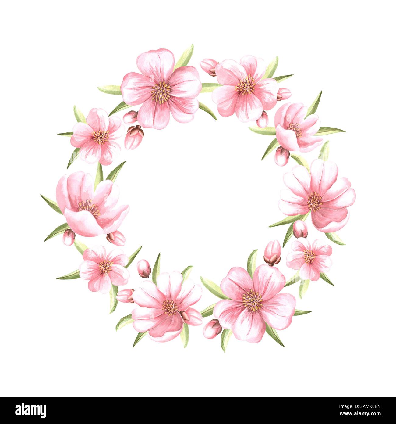Pink flowers of almond with leaves and buds watercolor wreath. Hand ...