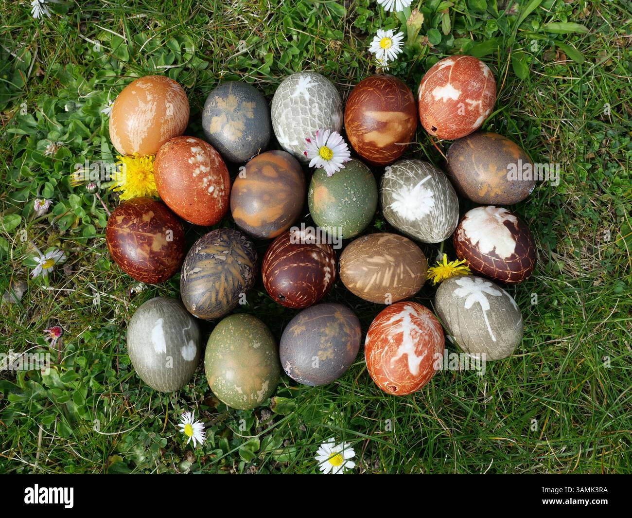 Naturally dyed Easter eggs with floral patterns using onion peel, hibiscus, and blossoms. A creative Easter tradition with natural materials. Stock Photo