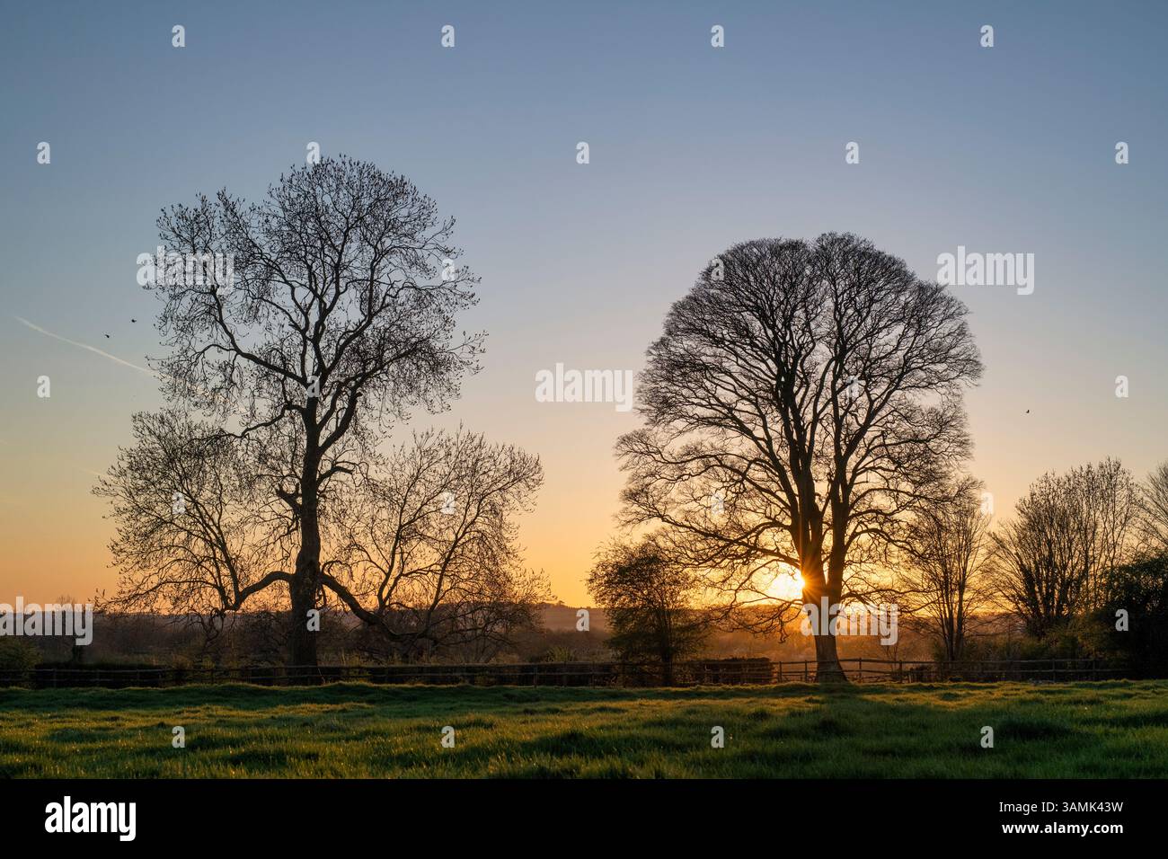 April sunset in the Cotswold countryside. Spelsbury. Cotswolds, Oxfordshire. England. Stock Photo