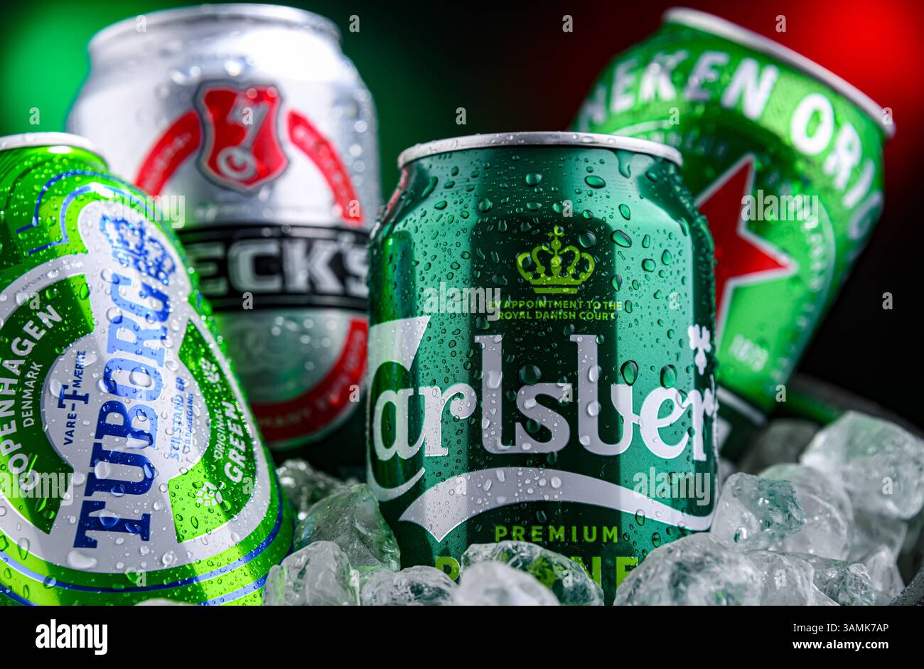 POZNAN POL APR 04 2025 Cans Of Popular Global Beer Brands Poznan Pol Apr 04 2025 Cans Of Popular Global Beer Brands Carlsberg Heineken Becks And Tuborg 3AMK7AP