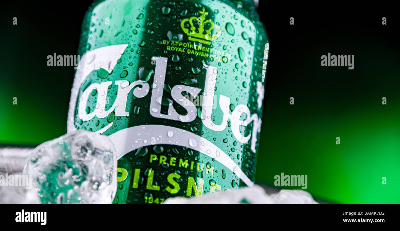 POZNAN POL APR 04 2025 Can Of Carlsberg Beer In Bucket With Ice Poznan Pol Apr 04 2025 Can Of Carlsberg Beer In Bucket With Ice 3AMK7D2