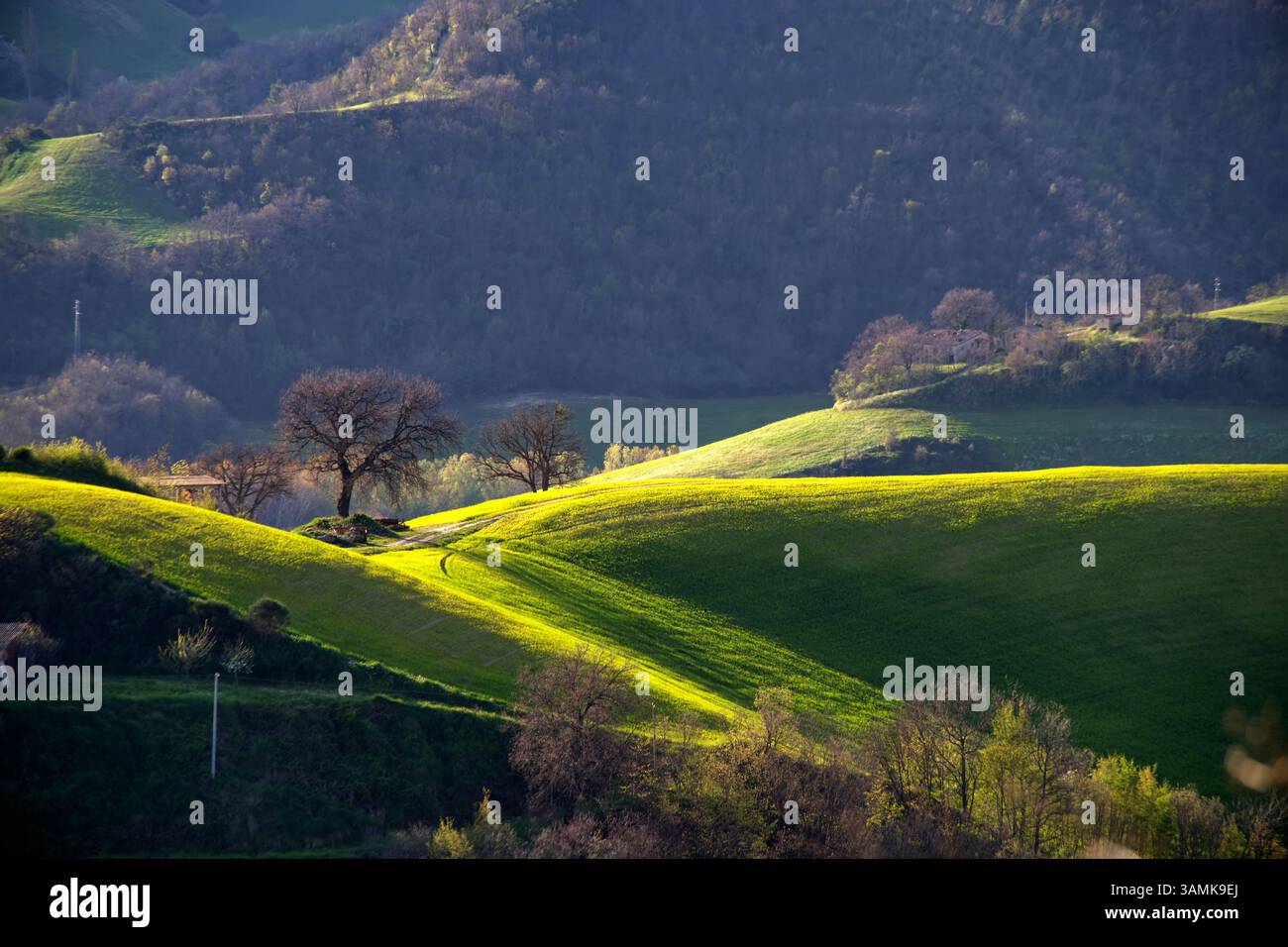 Panorama delle colline del Montefeltro in primavera Stock Photo - Alamy