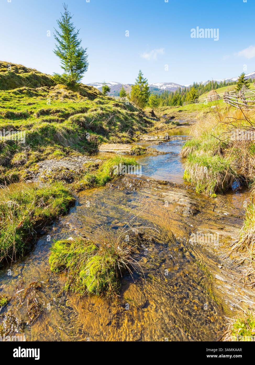countryside scenery of ukraine in spring. scenic view. sunny morning. mountainous rural landscape with grassy field on a hill behind fence. brook in t Stock Photo