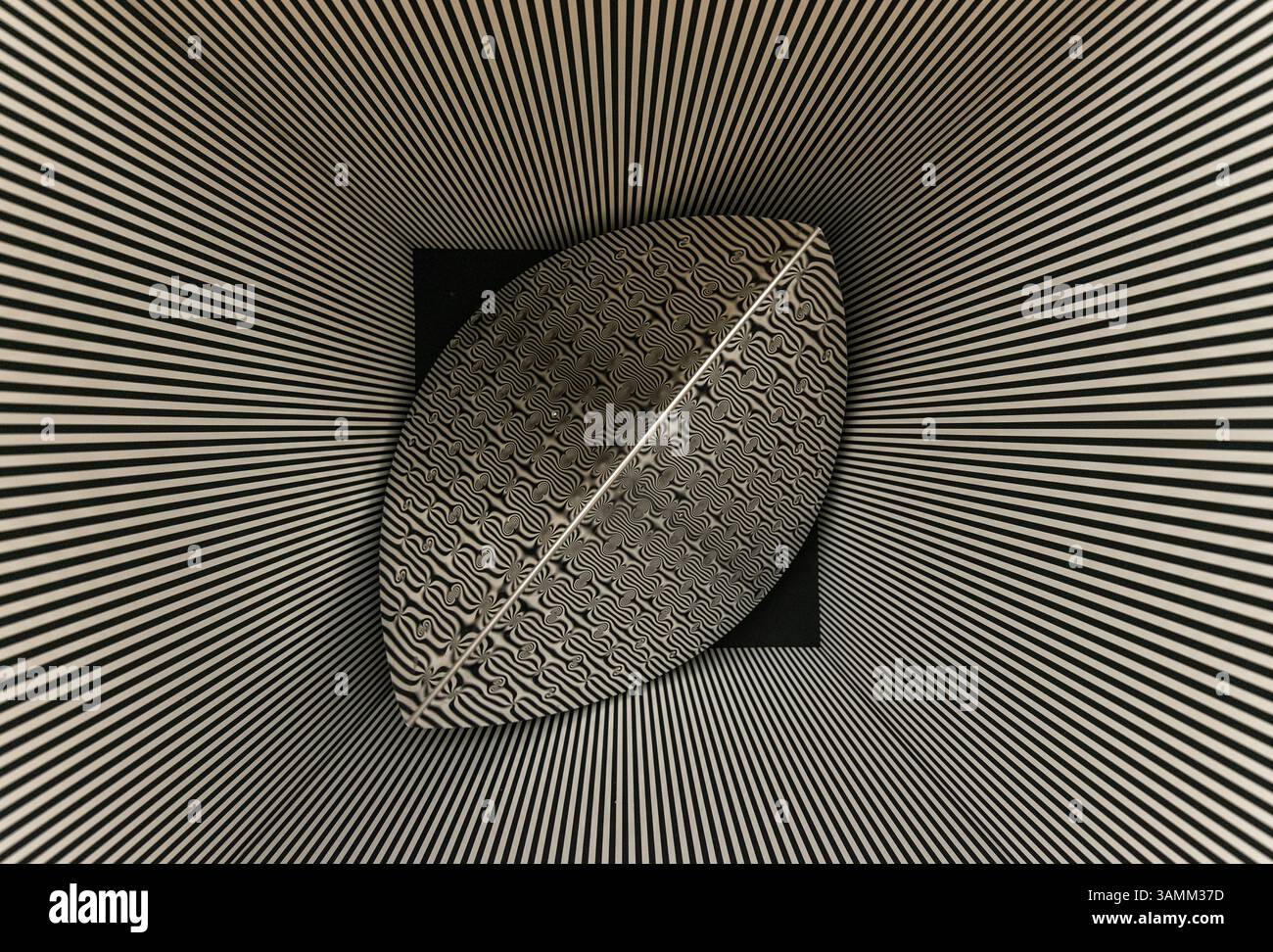 Unique black and white design featuring a textured oval shape with ...