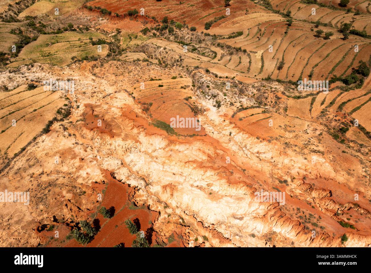 Aerial view of beautiful terraced fields in a vast valley with natural patterns and textures, Southern Nations Nationalities and Peoples' Region, Ethi Stock Photo