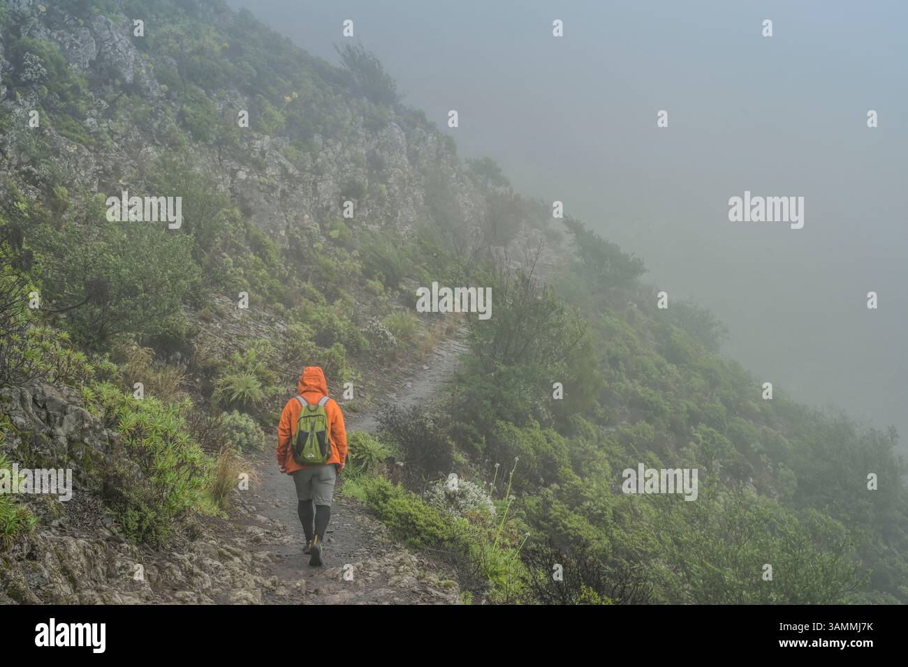 Wanderer im Nebel in den Bergen bei Masca, Teneriffa, Spanien Stock Photo