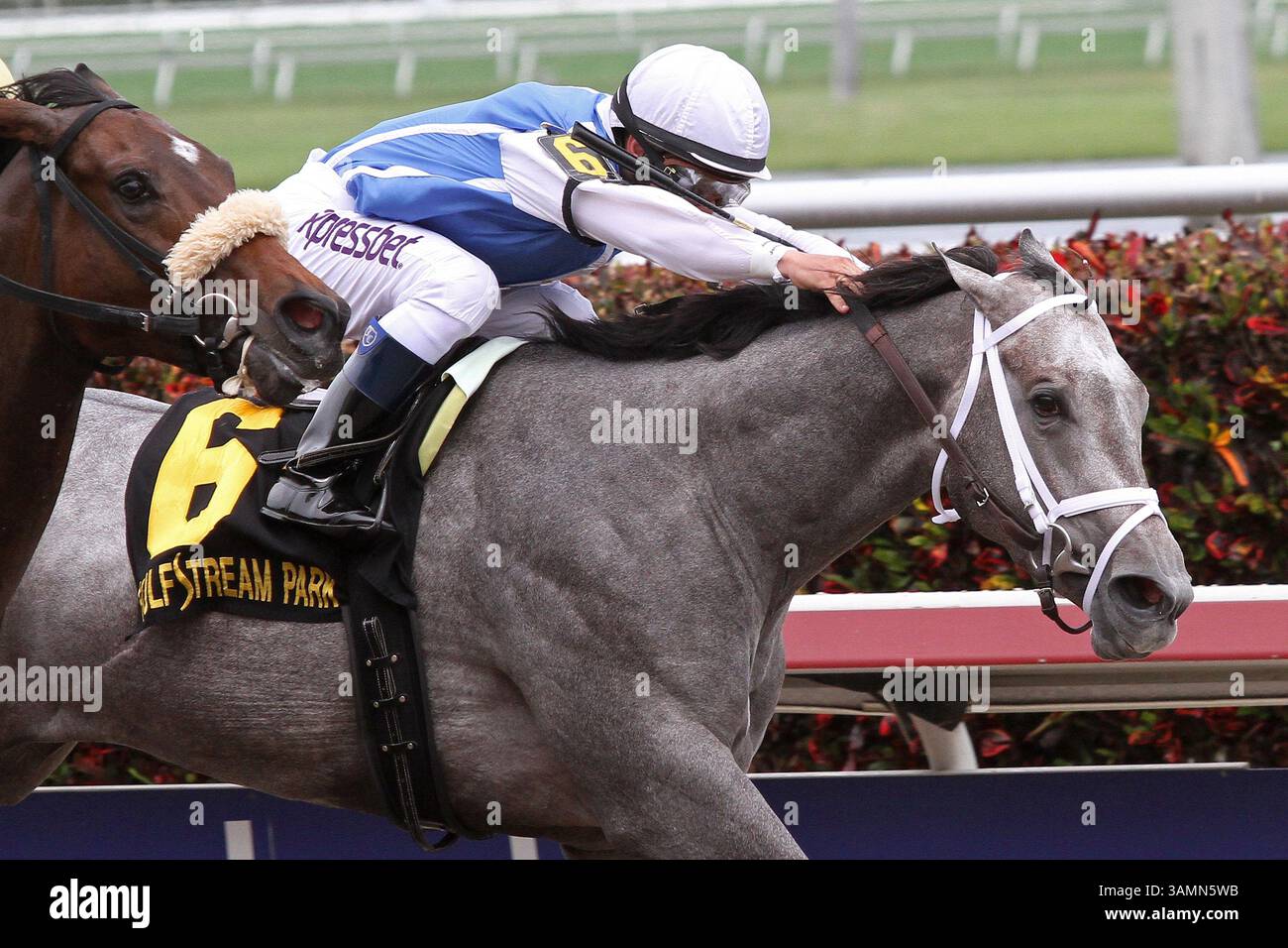 March 29, 2014 - Hallandale Beach, Florida, U.S. - March 29, 2014:  #6  In Tune (KY) with jockey Javier Castellano duels with #8 House Rules (KY) to win the G2 Gulfstream Oaks at Gulfstream Park in Hallandale Beach, FL.  Liz Lamont/ESW/CSM(Credit Image: © Scott Serio/Cal Sport Media/ZUMAPRESS.com) Stock Photo