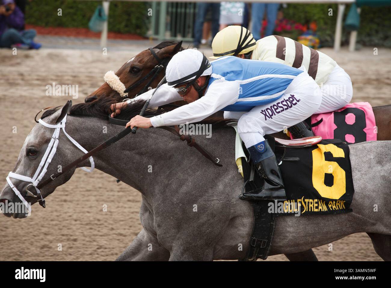 March 29, 2014 - Hallandale Beach, FL, U.S. - March 29, 2014: Jockey Javier Castellano and In Tune(#6) outlast House Rules and Alex Solis in the Gulfstream Oaks(G2) on Florida Derby day at Gulfstream Park in Hallandale Beach (FL). Arron Haggart/ESW/CSM(Credit Image: © Scott Serio/Cal Sport Media/ZUMAPRESS.com) Stock Photo