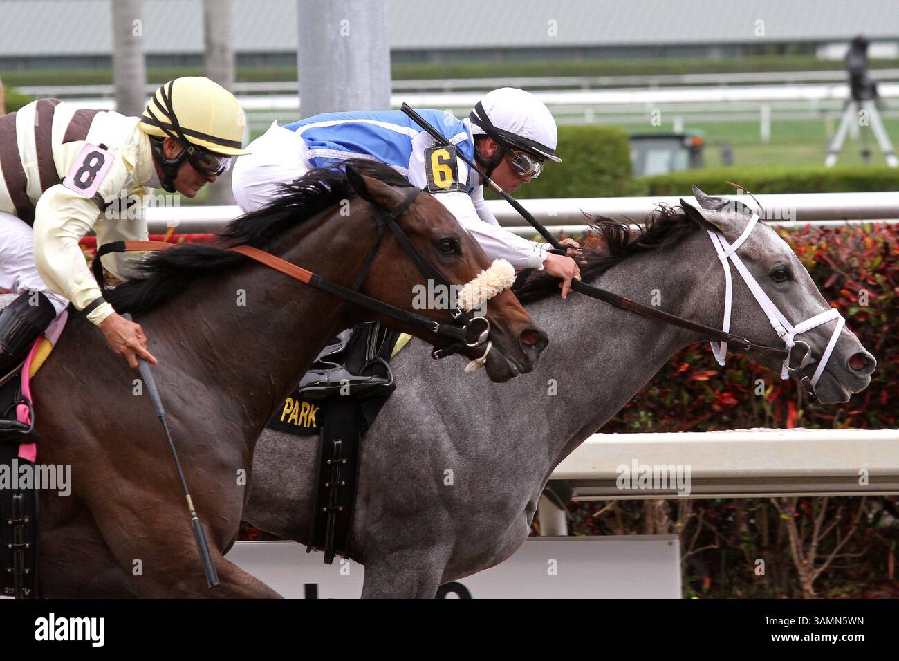 March 29, 2014 - Hallandale Beach, Florida, U.S. - March 29, 2014:  #6  In Tune (KY) with jockey Javier Castellano duels with #8 House Rules (KY) to win the G2 Gulfstream Oaks at Gulfstream Park in Hallandale Beach, FL.  Liz Lamont/ESW/CSM(Credit Image: © Scott Serio/Cal Sport Media/ZUMAPRESS.com) Stock Photo