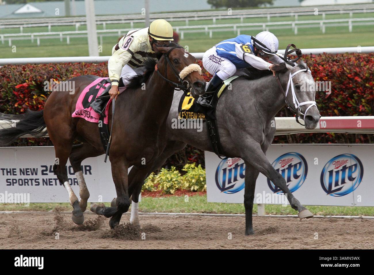 March 29, 2014 - Hallandale Beach, Florida, U.S. - March 29, 2014:  #6  In Tune (KY) with jockey Javier Castellano duels with #8 House Rules (KY) with jockey Alex Solis to win the G2 Gulfstream Oaks at Gulfstream Park in Hallandale Beach, FL.  Liz Lamont/ESW/CSM(Credit Image: © Scott Serio/Cal Sport Media/ZUMAPRESS.com) Stock Photo