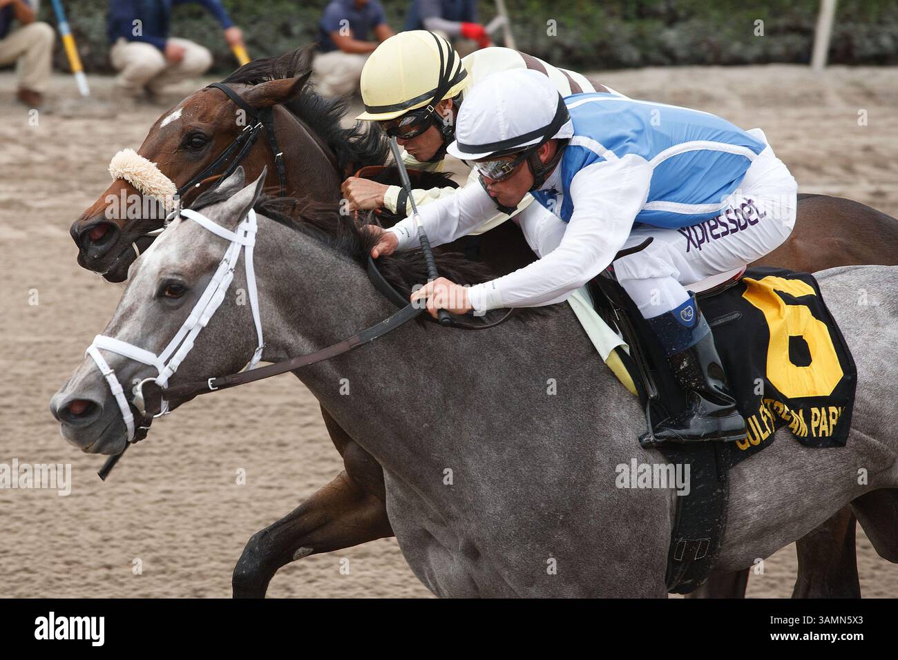 March 29, 2014 - Hallandale Beach, FL, U.S. - March 29, 2014: Jockey Javier Castellano and In Tune(#6) outlast House Rules and Alex Solis in the Gulfstream Oaks(G2) on Florida Derby day at Gulfstream Park in Hallandale Beach (FL). Arron Haggart/ESW/CSM(Credit Image: © Scott Serio/Cal Sport Media/ZUMAPRESS.com) Stock Photo
