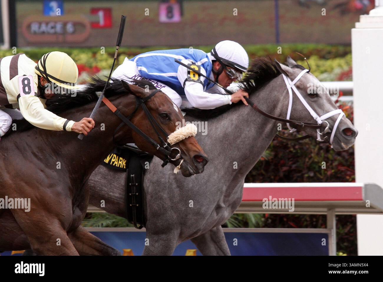 March 29, 2014 - Hallandale Beach, Florida, U.S. - March 29, 2014:  #6  In Tune (KY) with jockey Javier Castellano duels with #8 House Rules (KY) to win the G2 Gulfstream Oaks at Gulfstream Park in Hallandale Beach, FL.  Liz Lamont/ESW/CSM(Credit Image: © Scott Serio/Cal Sport Media/ZUMAPRESS.com) Stock Photo