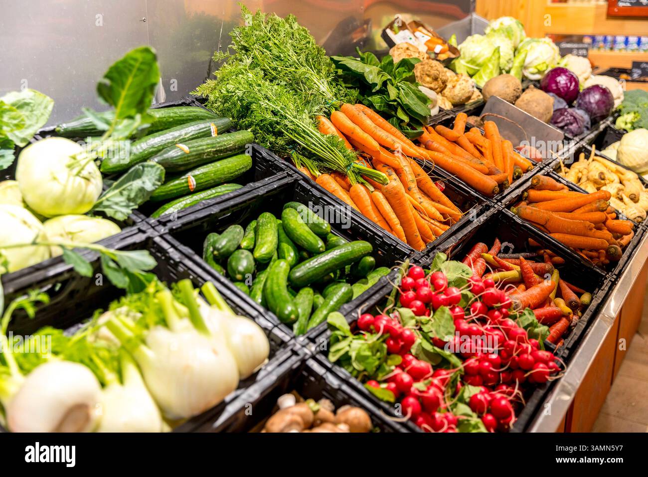 Gemüsetheke in Supermarkt oder Biomarkt mit Gurken, Radieschen, Möhren, Fenchel, Kohlrabi, Sellerie, Rotkohl *** Vegetable counter in supermarket or o Stock Photo