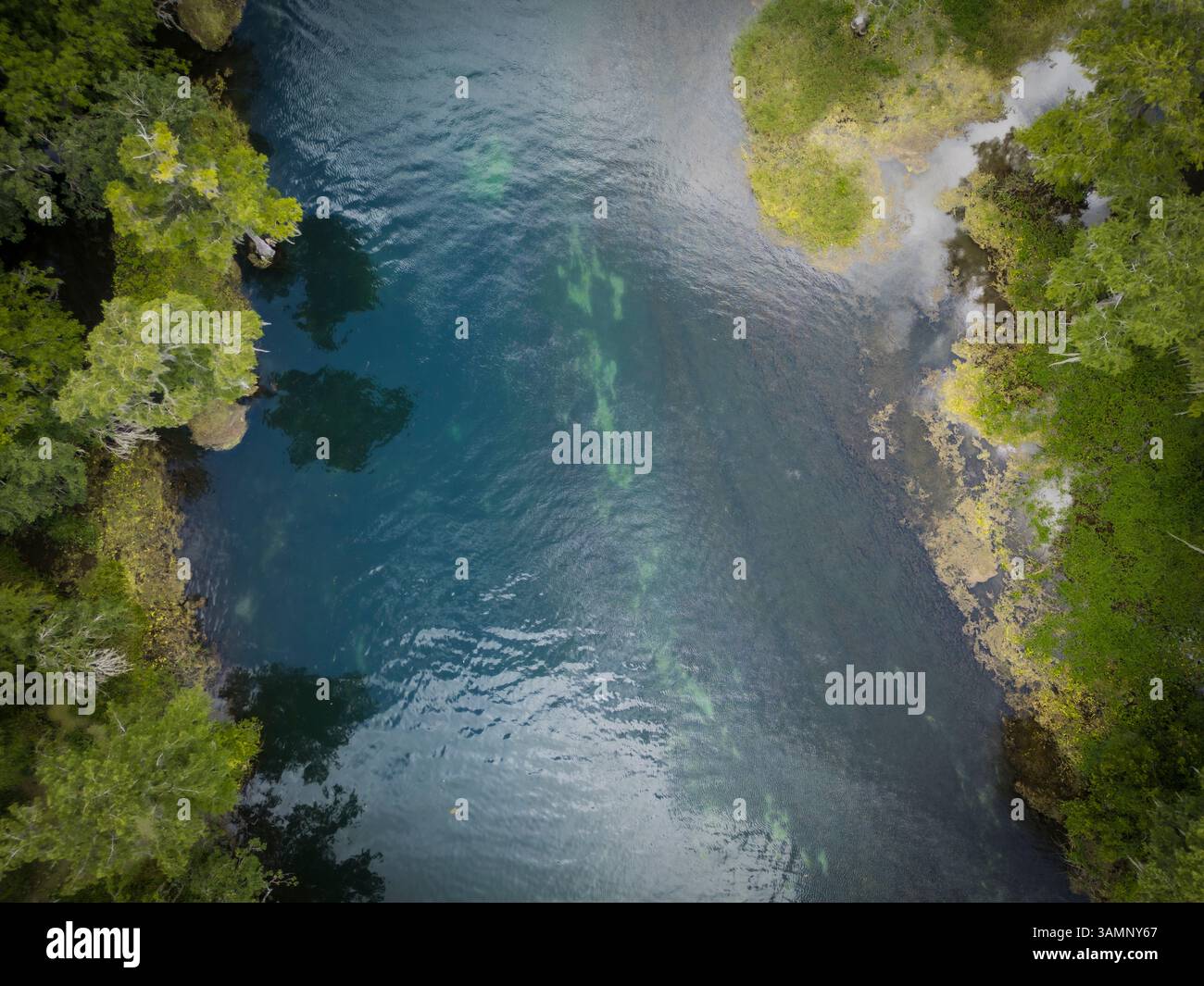 Aerial view of the tranquil and beautiful Rainbow River surrounded by ...