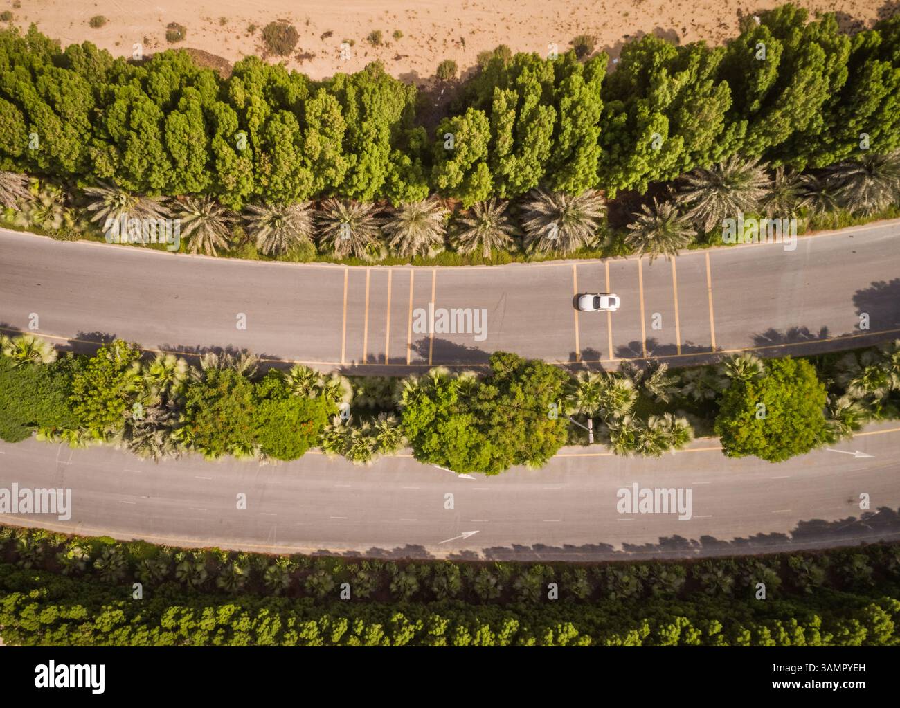 Aerial view of a car driving on a road surrounded with vegetation in ...