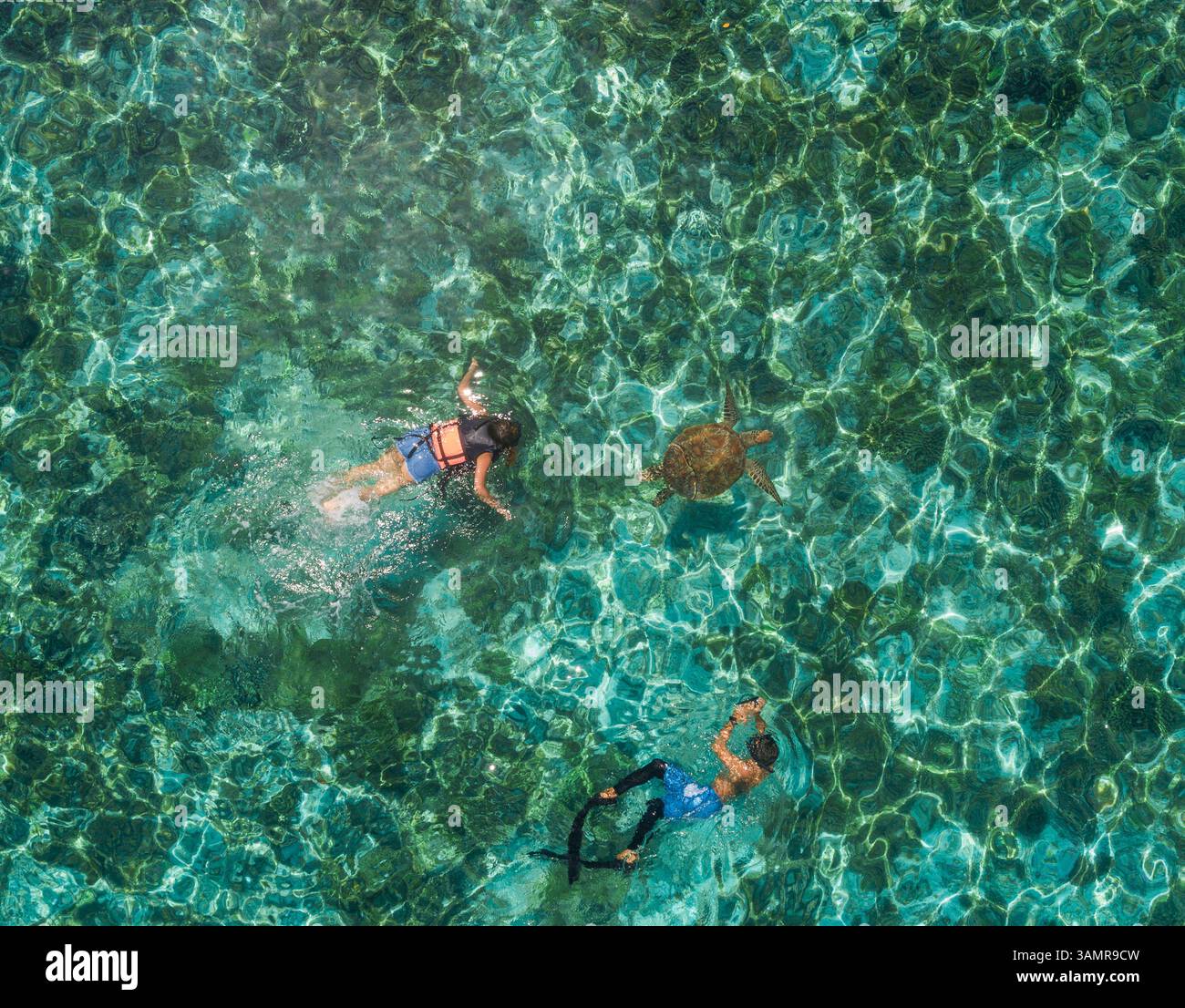 Aerial people snorkeling in ocean hi-res stock photography and images ...