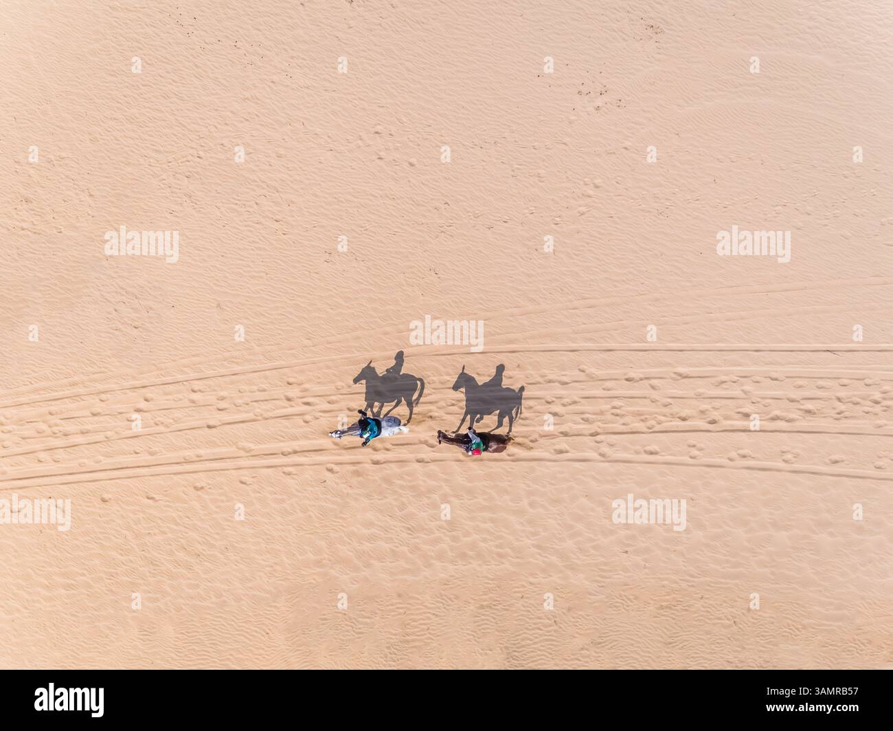 Aerial view of two people riding horses in desert, Abu Dhabi, UAE. Stock Photo