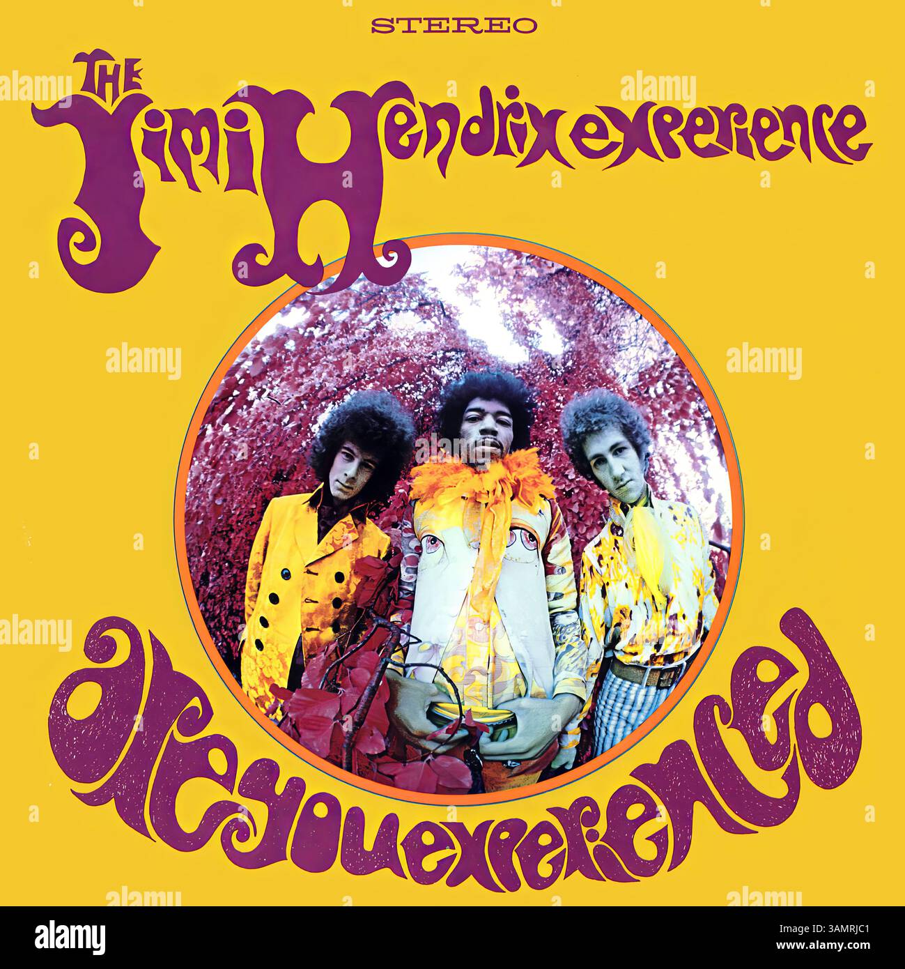 Are you experienced jimi hendrix hi-res stock photography and