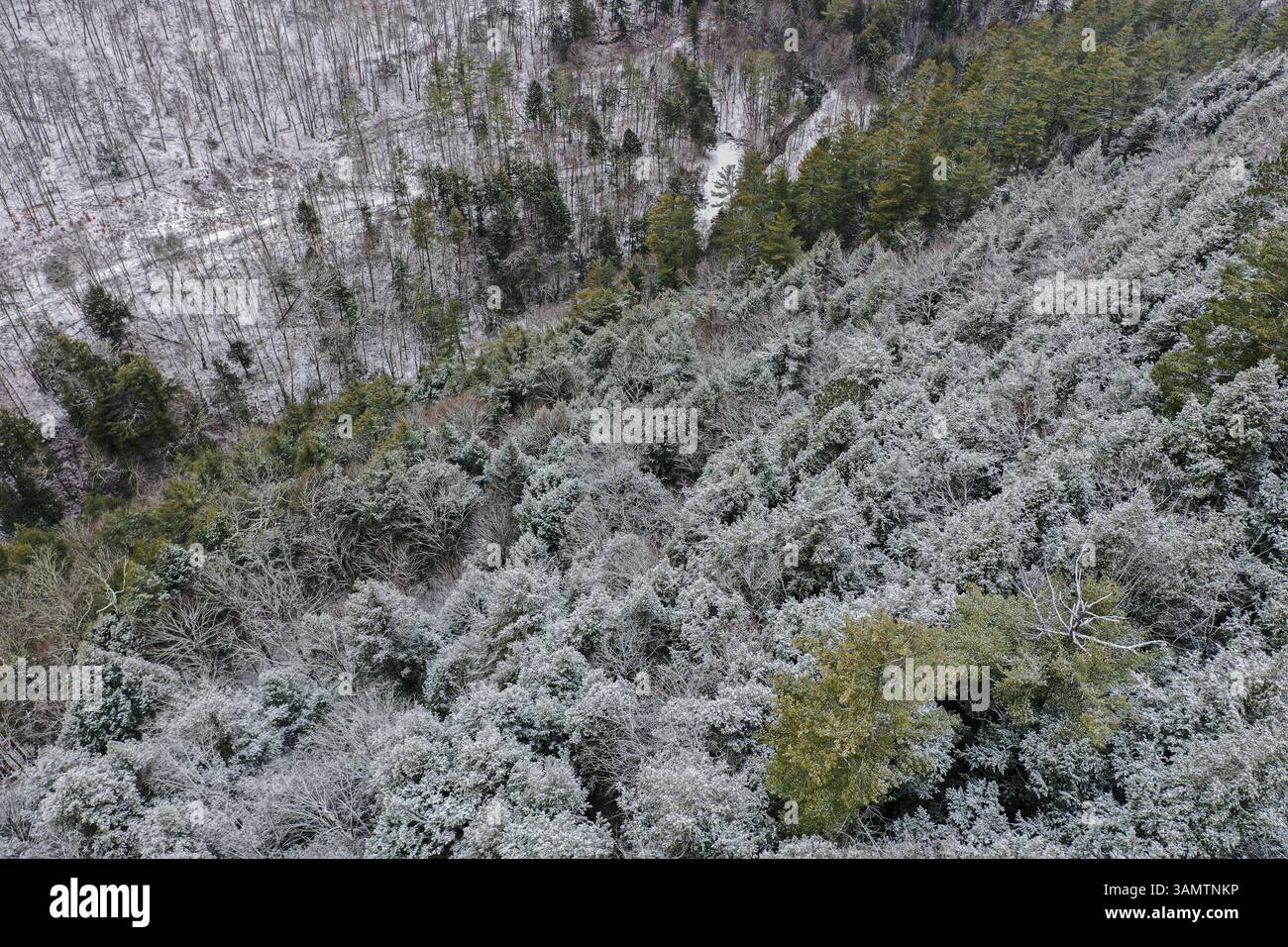 Aerial Drone View of Mountains with forest trees in wintertime with snow, Williamstown, Vermont, United States. Stock Photo