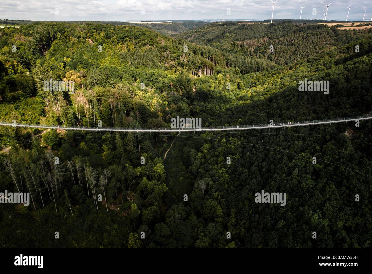 Aerial view of lush forest and Geierlay suspension bridge, Sosberg ...
