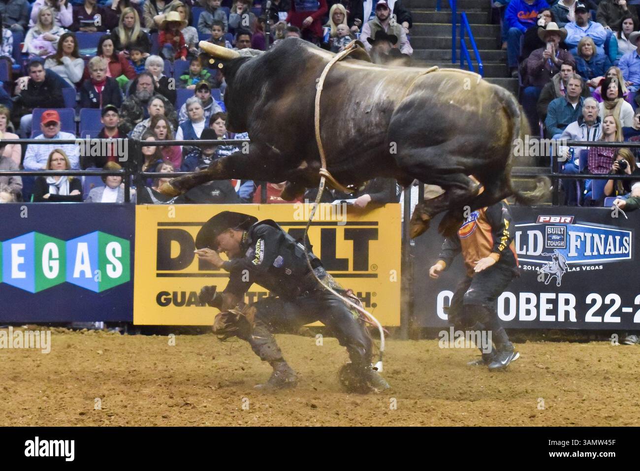 Crack his whip hi-res stock photography and images - Alamy