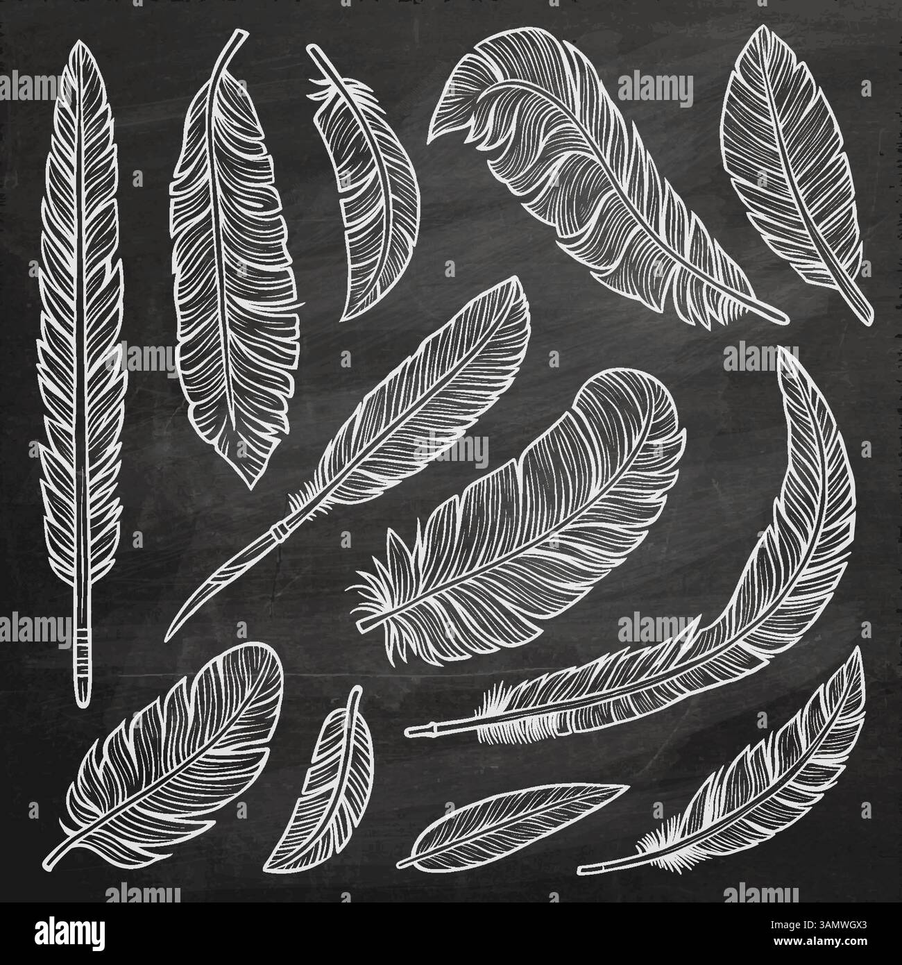 Set of hand-drawn black and white feathers with intricate details on ...