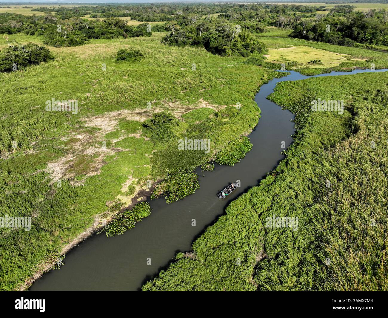 Aerial view of lush wetlands and a winding river surrounded by greenery ...
