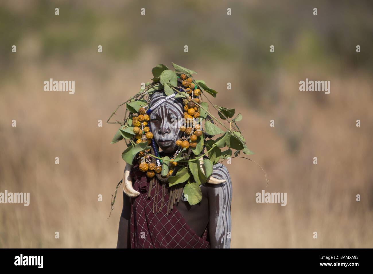 Feb. 2, 2014 - Ilma Village, Ethiopia - mursi tribe in southern Ethiopia, (Credit Image: © Ton Koene/ZUMAPRESS.com) Stock Photo