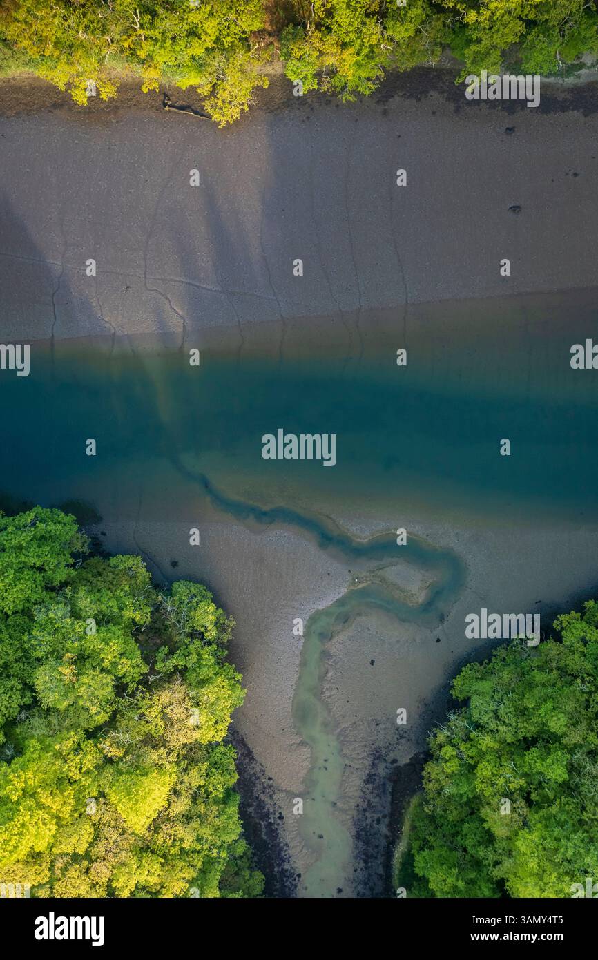 Aerial view of river Lerryn above the treetops at sunset, Lostwithiel, Lerryn, Cornwall, United Kingdom. Stock Photo