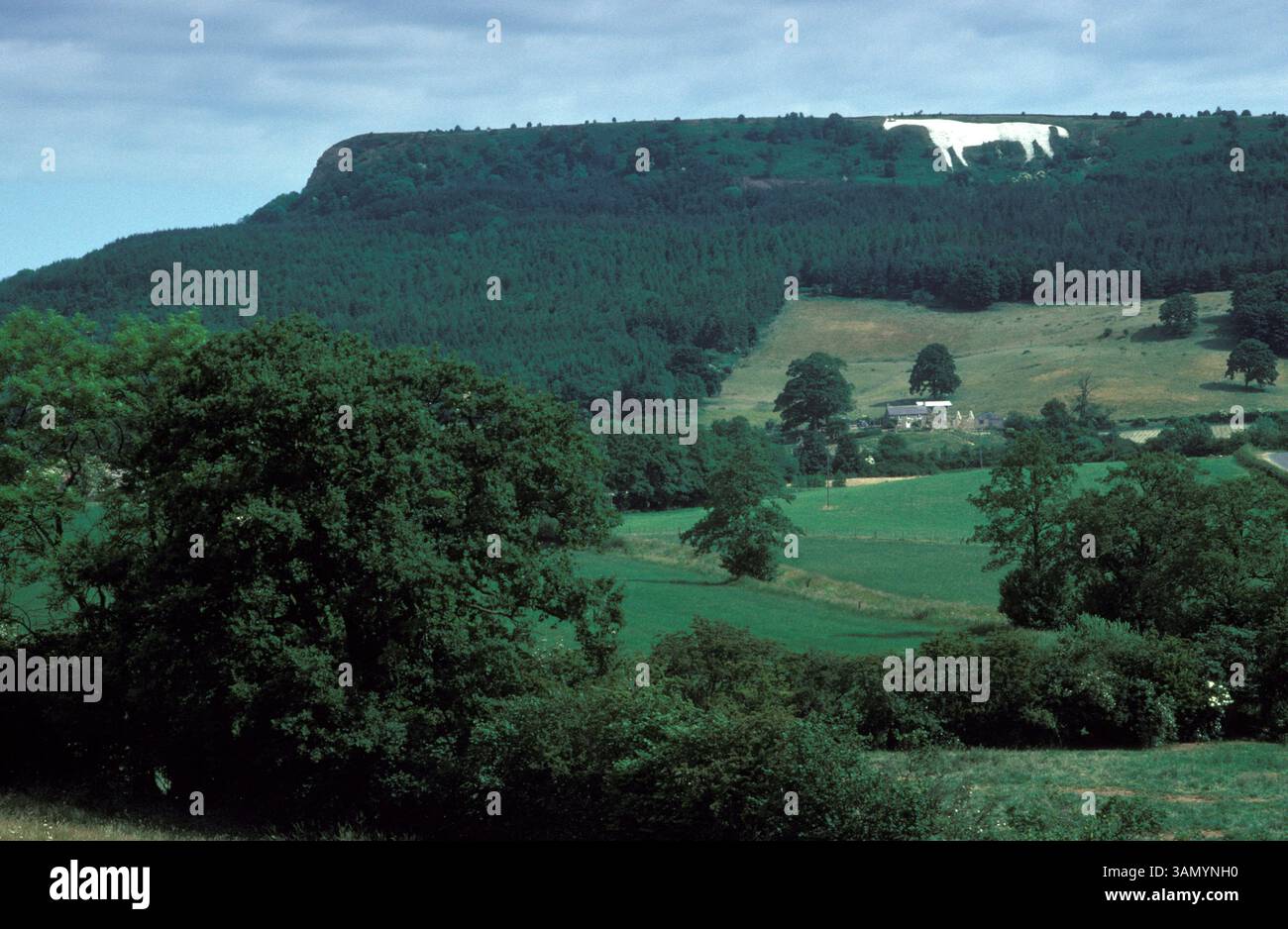 Kilburn White Horse, landscaper of the Vale of York. Kiburn, North Yorkshire England HOMER SYKES Stock Photo
