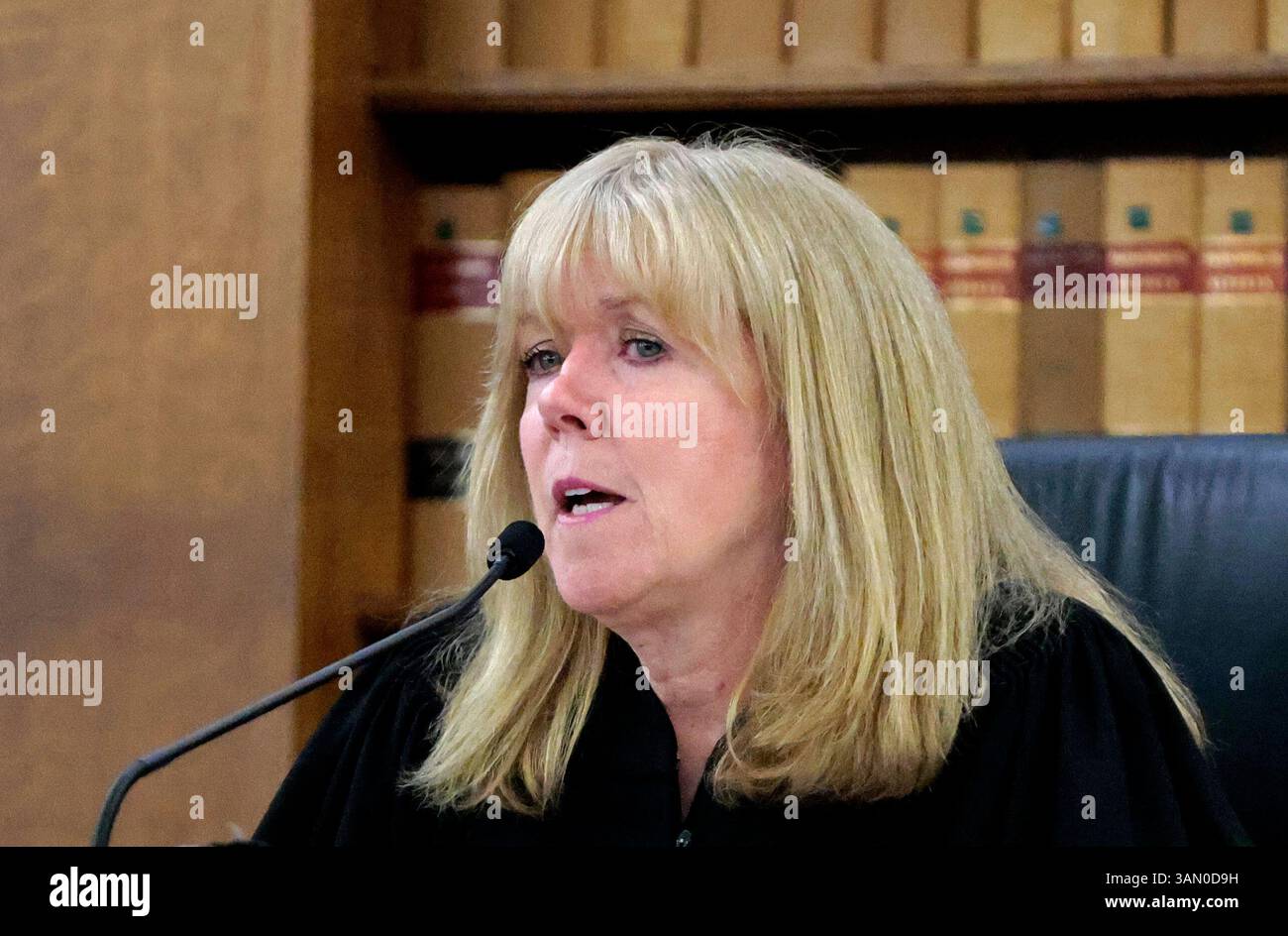 Judge Beverly J. Cannone addresses potential jurors as jury selection ...