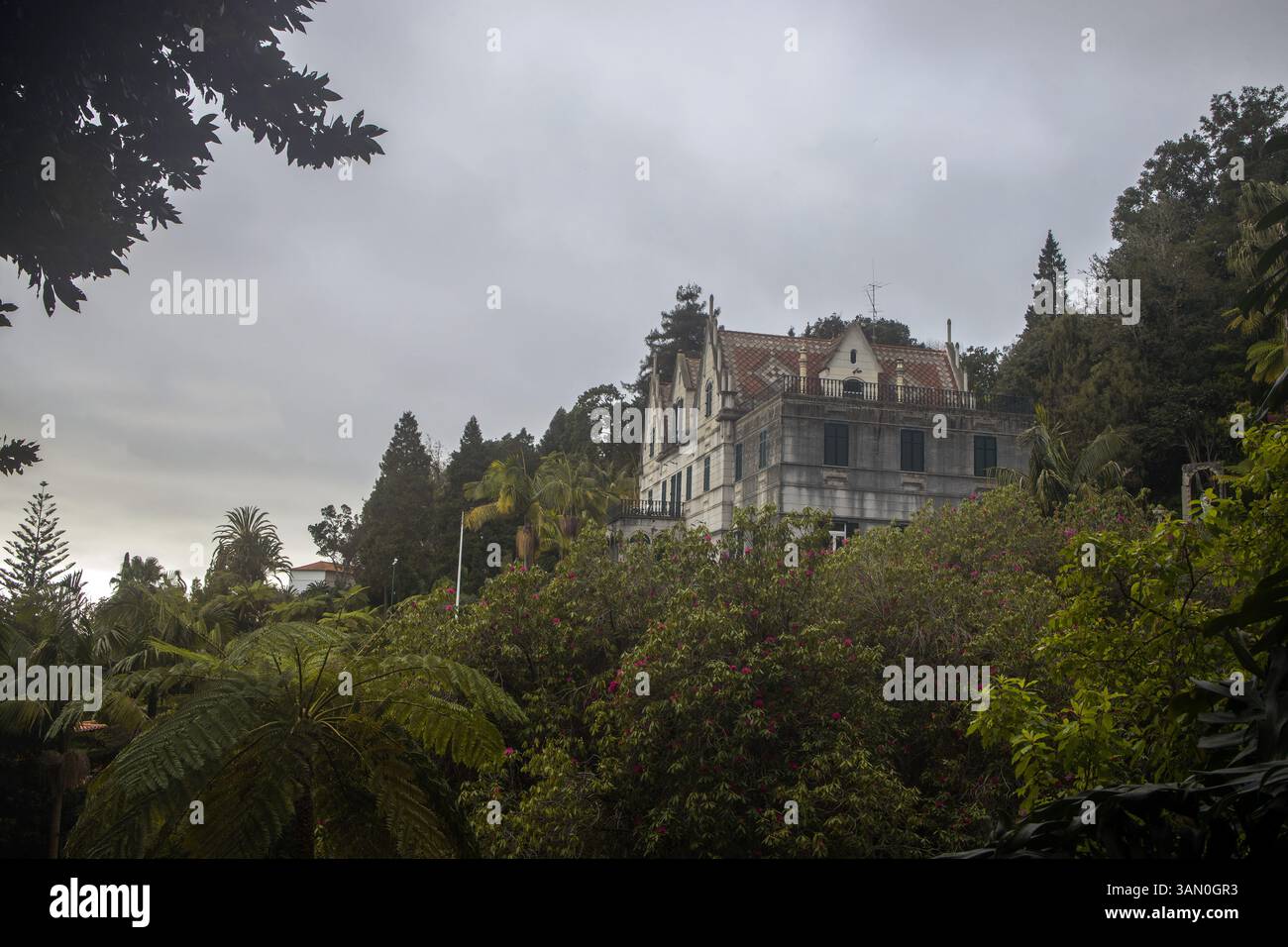 Explore the beauty of Monte Palace Garden in Madeira with its rich ... - Intriguing To Explore