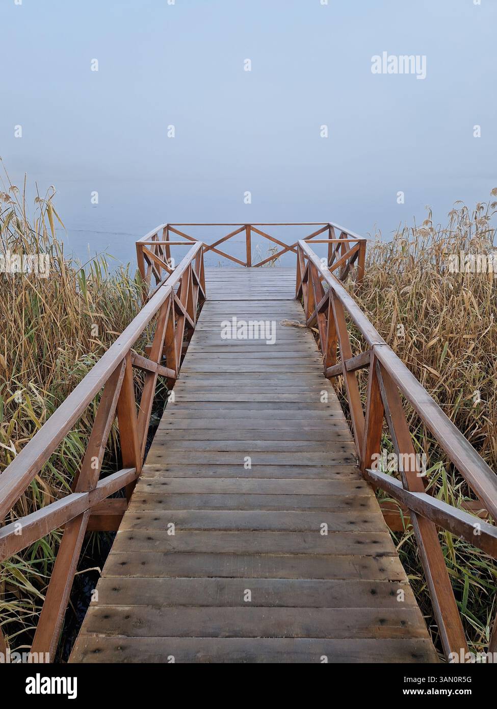 Wooden dock extending into a foggy lake, flanked by tall, dry reeds. Serene and atmospheric scene with the mist creating a sense of calm and mystery - Smartphone Captured Stock Image