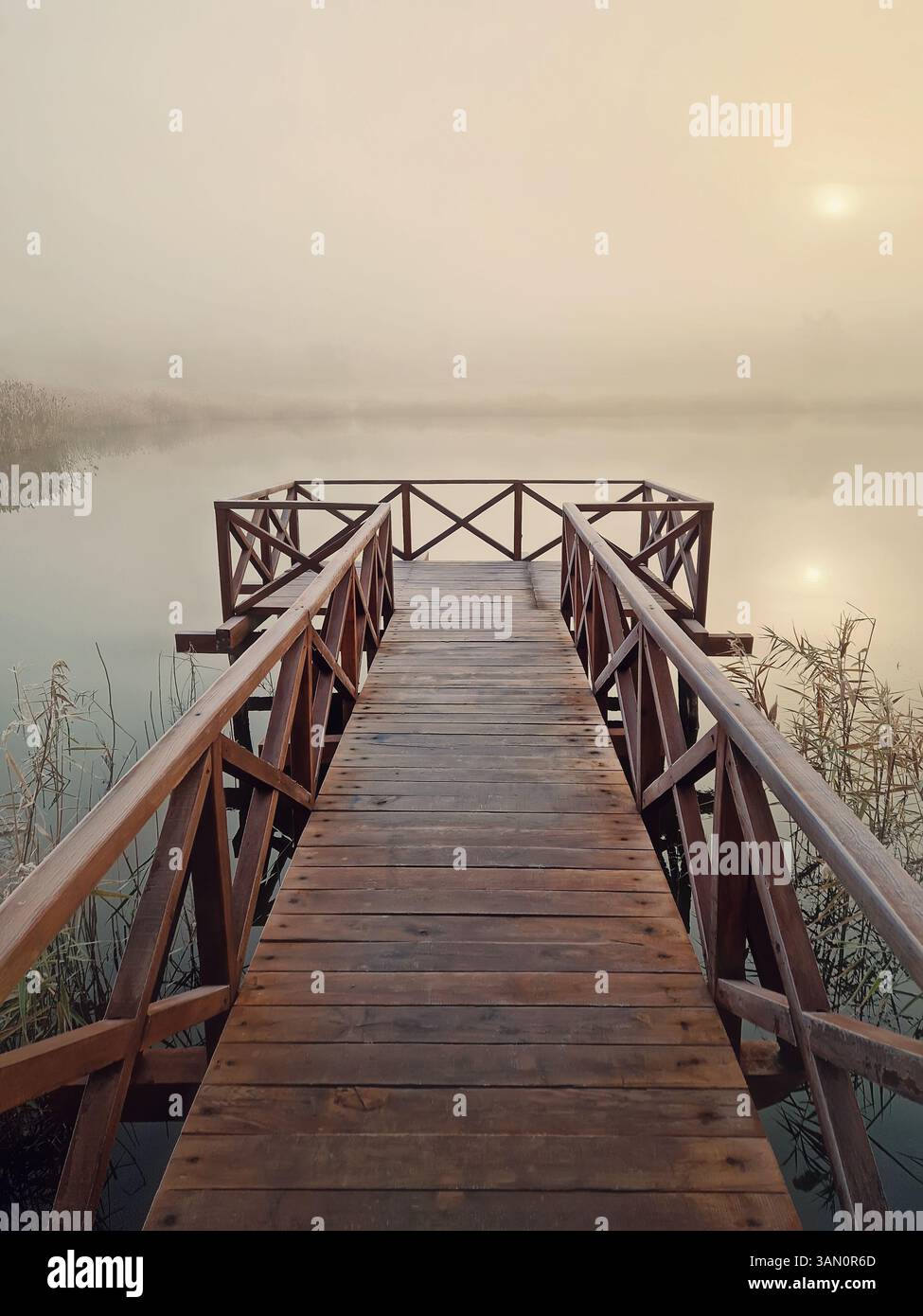 Wooden pier by the lake leading into a foggy scene, surrounded by tall dry reed. The sunrise sun is faintly visible through the mist, creating a seren - Smartphone Captured Stock Image