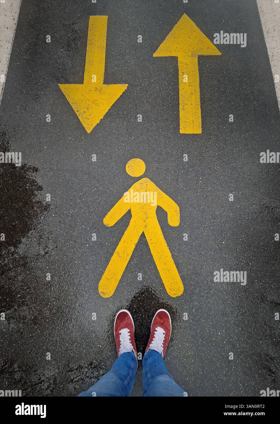 Wet asphalt road with bright yellow pedestrian markings and pointing arrows ahead and backwards. A person legs in red sneakers and blue jeans stands o - Smartphone Captured Stock Image