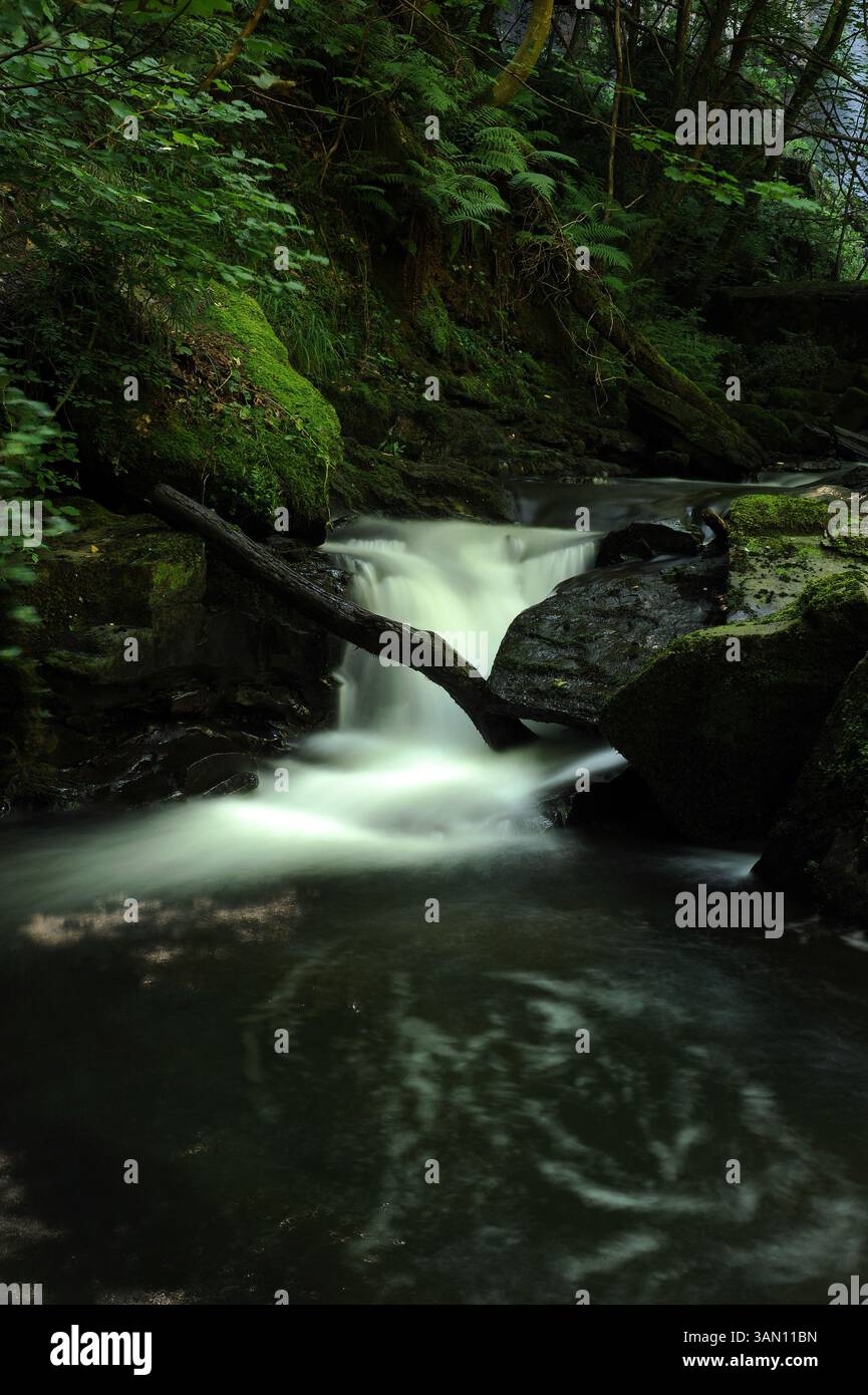 Melincourt Brook just below Melincourt Falls. Stock Photo
