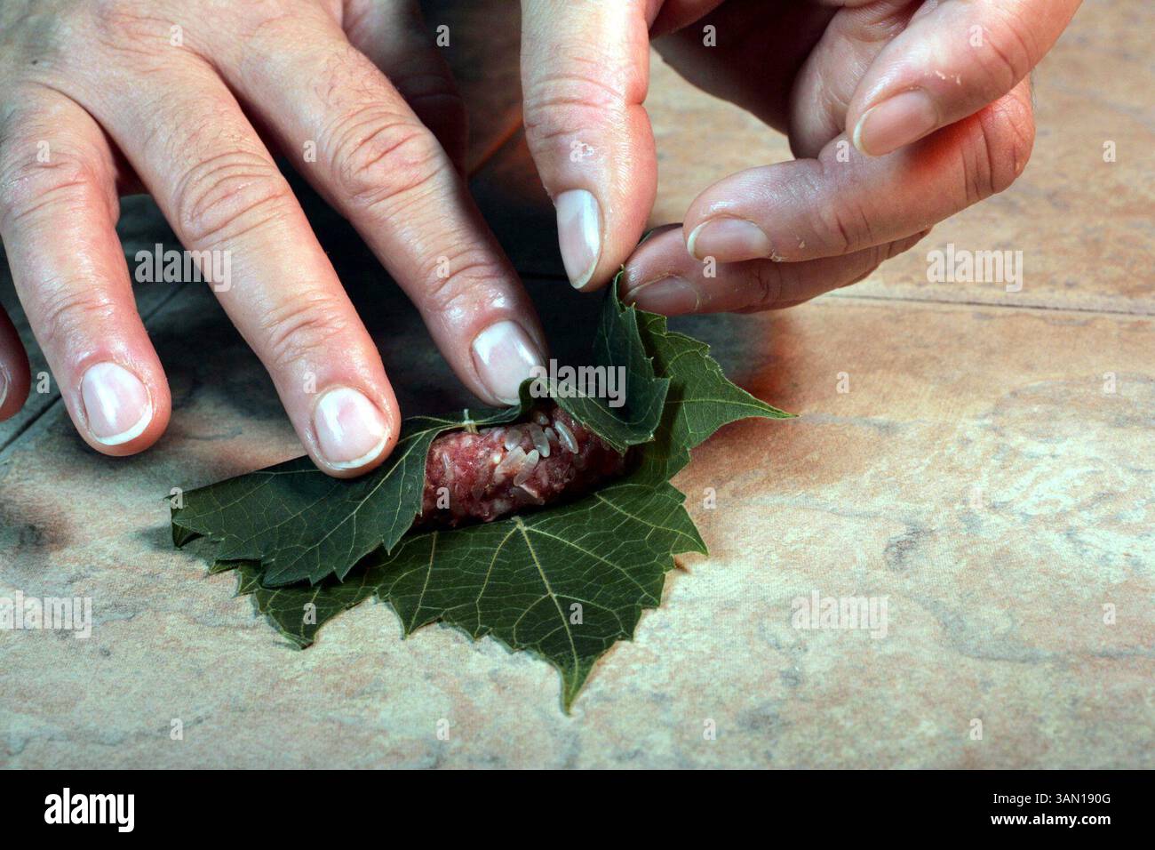 June 9, 2005 - U.S. - KRT FOOD STORY SLUGGED: GRAPELEAVES KRT ...
