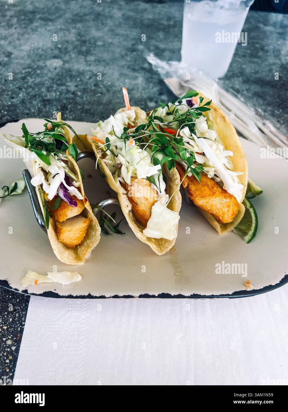 Crispy fish tacos topped with tangy slaw and microgreens, served with a wedge of lime for the perfect bite. - Smartphone Captured Stock Image