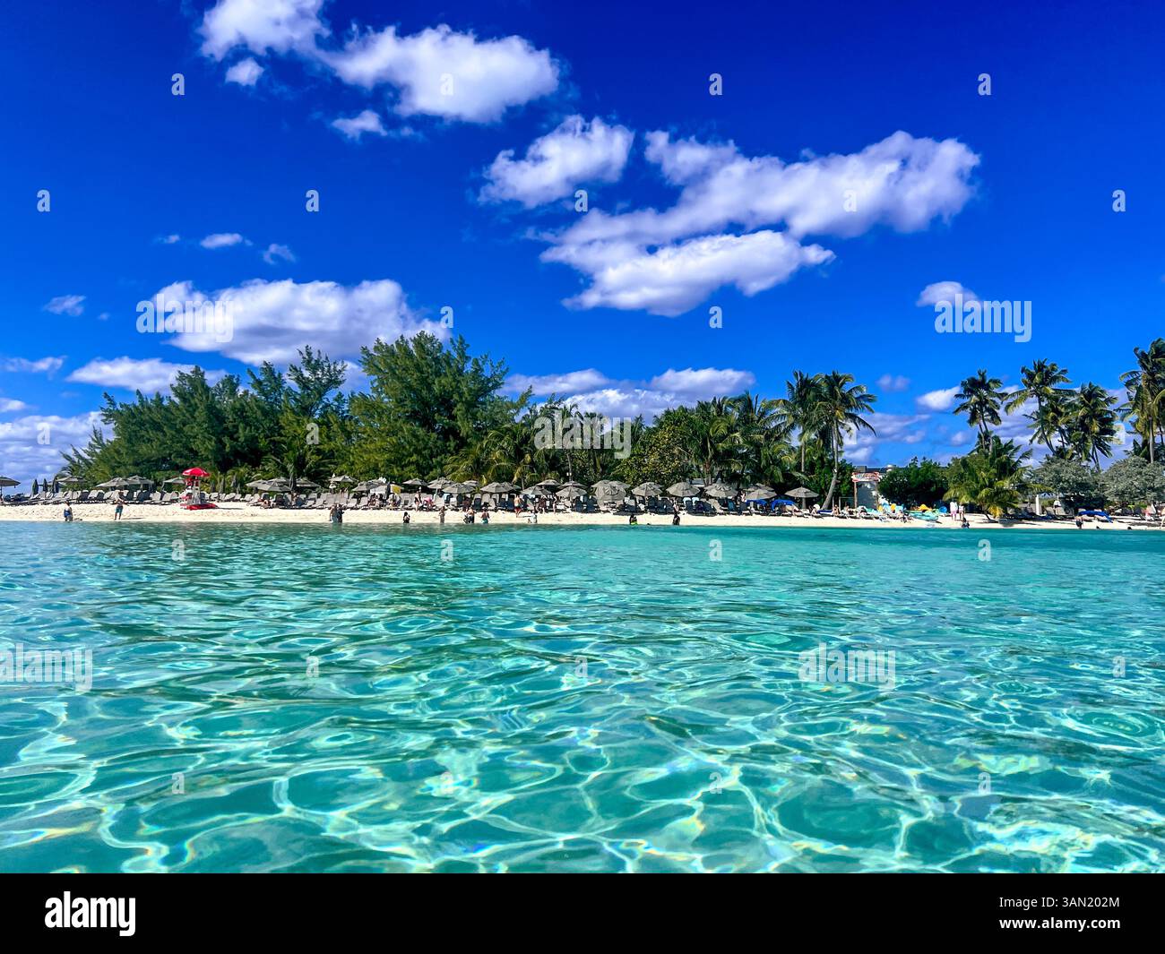 A perfect day in paradise with clear turquoise water, soft white sand, and palm trees swaying under the bright island sun. - Smartphone Captured Stock Image