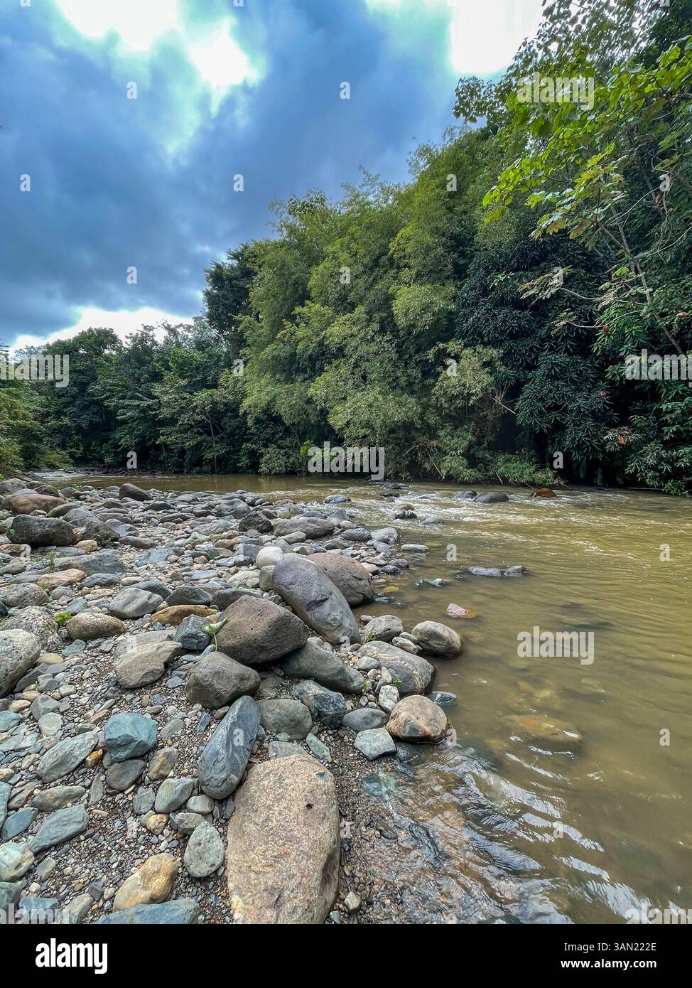 A peaceful river flows through a rocky landscape, surrounded by dense green foliage. The overcast sky adds to the tranquility of this untouched natura - Smartphone Captured Stock Image