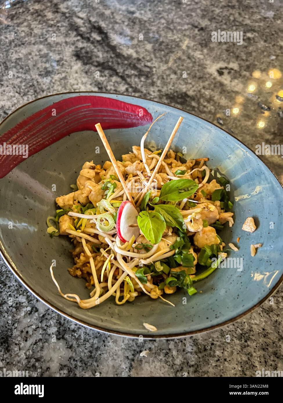 A beautifully plated Pad Thai dish featuring tofu, bean sprouts, fresh herbs, and radish, served in a stylish bowl with an artistic sauce design. - Smartphone Captured Stock Image