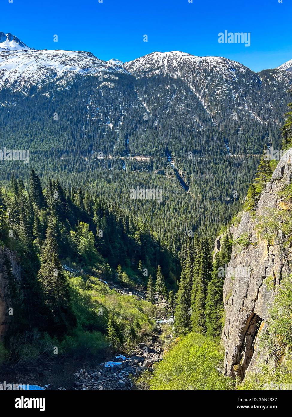 A breathtaking view of Alaska’s rugged wilderness, featuring towering snow-capped mountains, dense evergreen forests, and steep rocky cliffs. A perfec - Smartphone Captured Stock Image