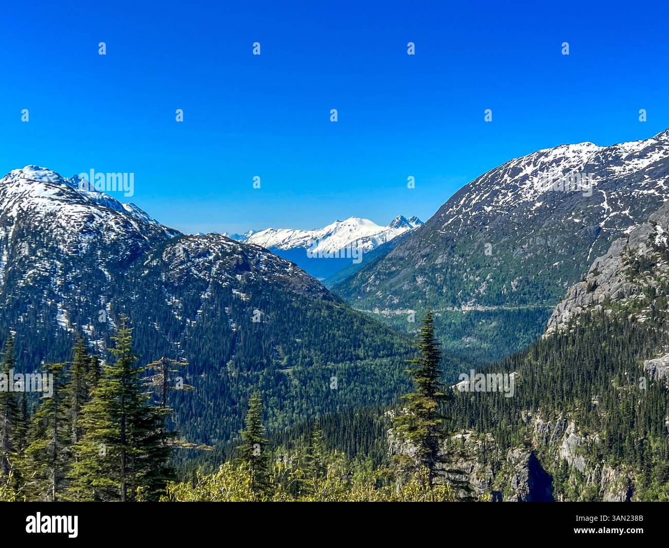 A breathtaking view of the Alaskan wilderness, showcasing towering snow-capped mountains, deep green valleys, and rugged rocky slopes. The untouched b - Smartphone Captured Stock Image