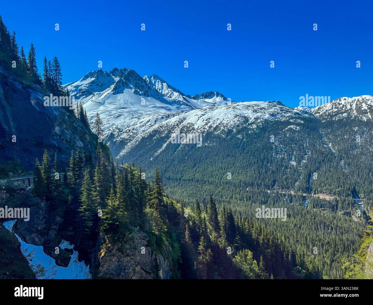 A stunning view of the White Pass landscape in Alaska, featuring towering snow-capped mountains, dense evergreen forests, and deep valleys. This breat - Smartphone Captured Stock Image