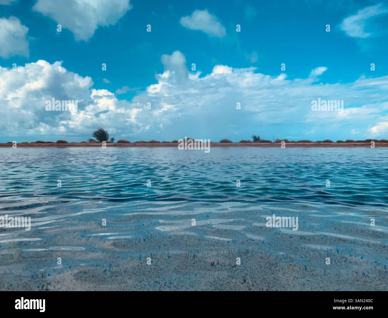 A stunning view of calm, crystal-clear ocean water reflecting the vibrant blue sky with scattered clouds. The sandy shoreline and sparse vegetation cr - Smartphone Captured Stock Image