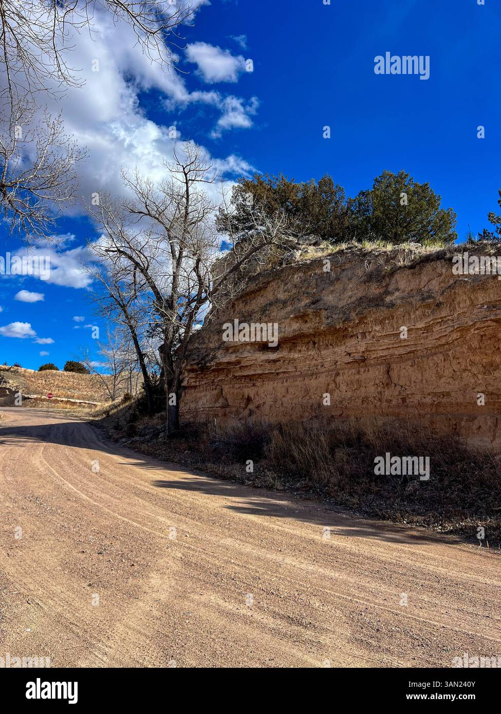A quiet dirt road curves beside a weathered red rock bluff, framed by leafless trees and a brilliant blue sky dotted with clouds. - Smartphone Captured Stock Image