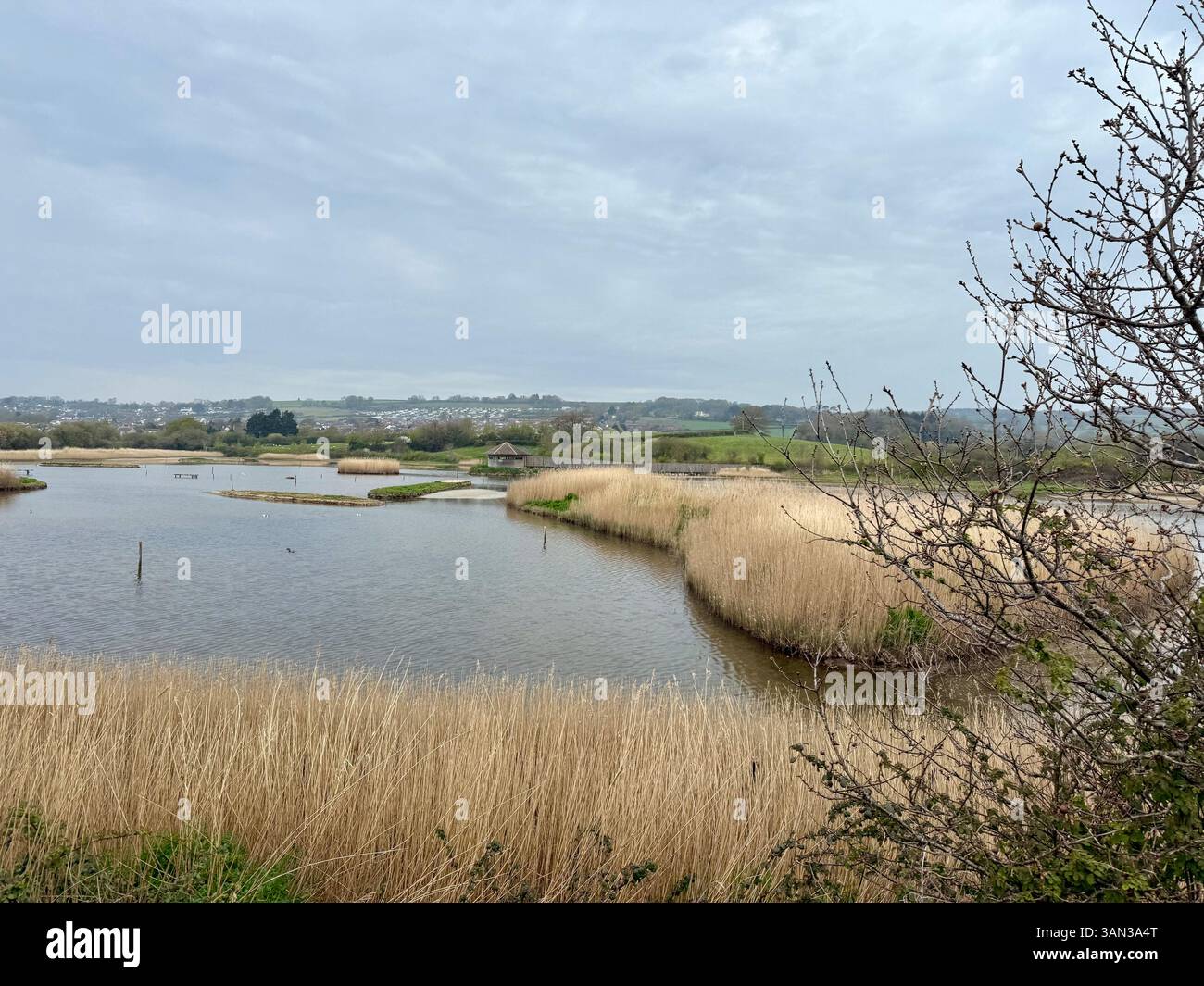 River Axe, Seaton to Colyton, Devon England: River Views - Smartphone Captured Stock Image