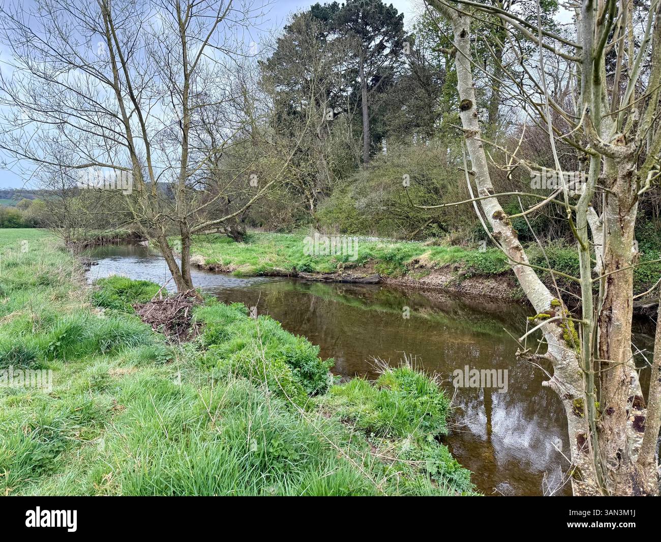 The River Axe, Colyford, Devon: Reflections in the River - Smartphone Captured Stock Image