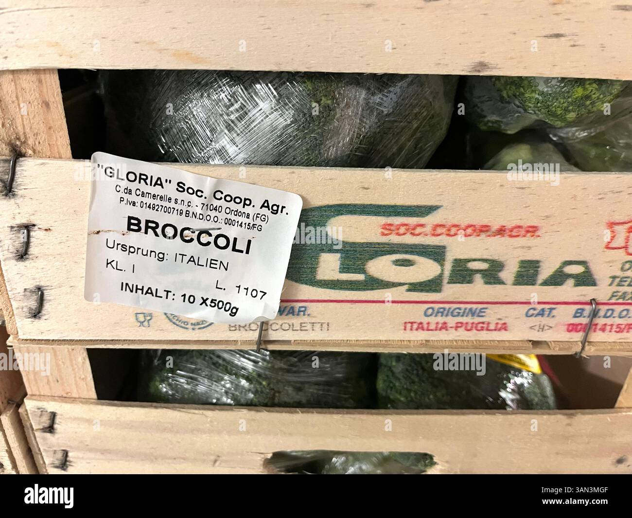 Fresh broccoli heads arranged in a wooden crate branded Gloria, Italian producer. Vegetables ready for distribution or retail sale, Puglia broccoli - Smartphone Captured Stock Image